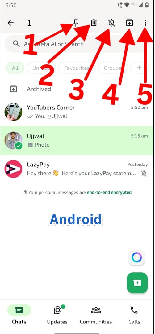 Icons when selecting chats in whatsapp
