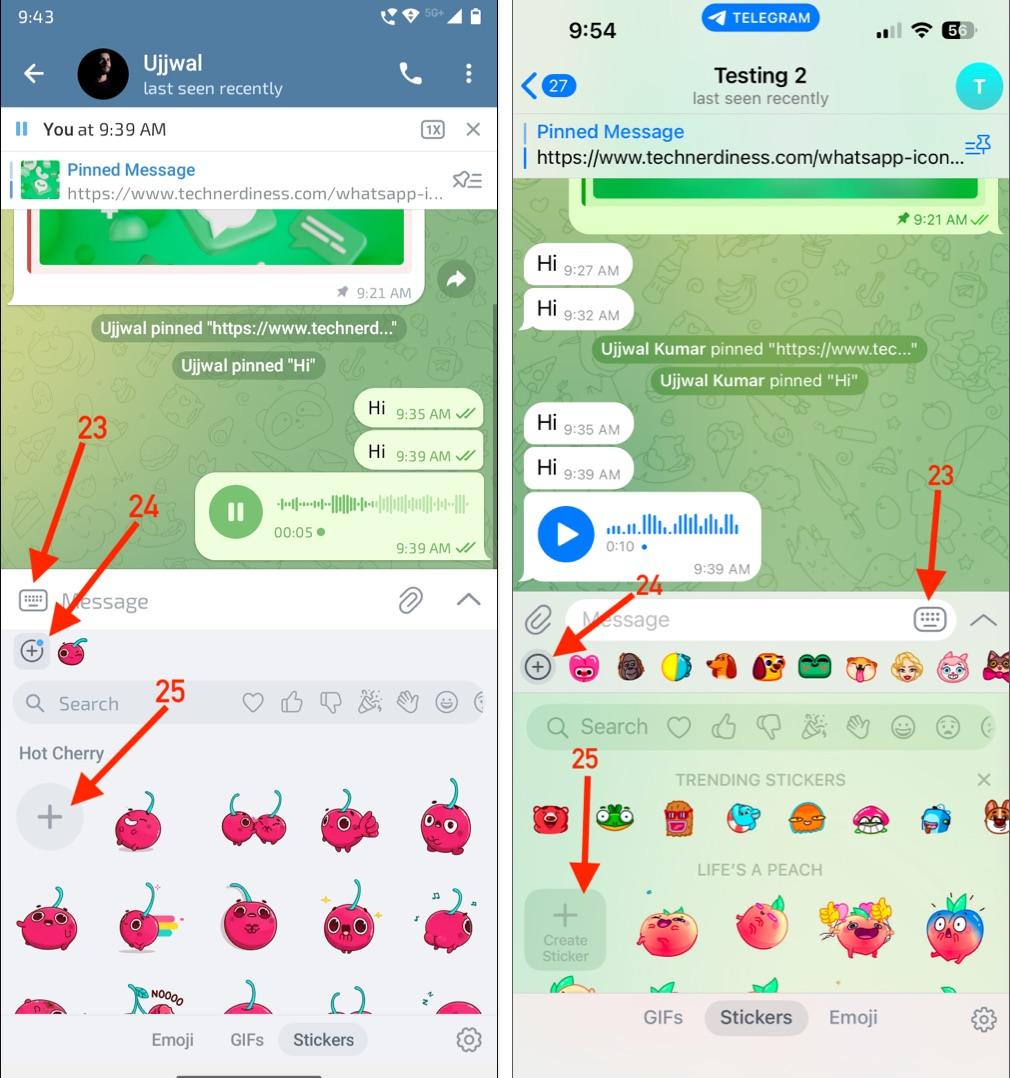 Icons and symbols inside individual chats 2