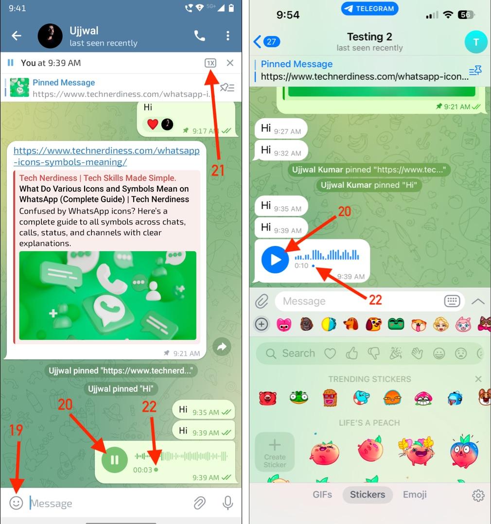 Icons and symbols inside individual chats 3