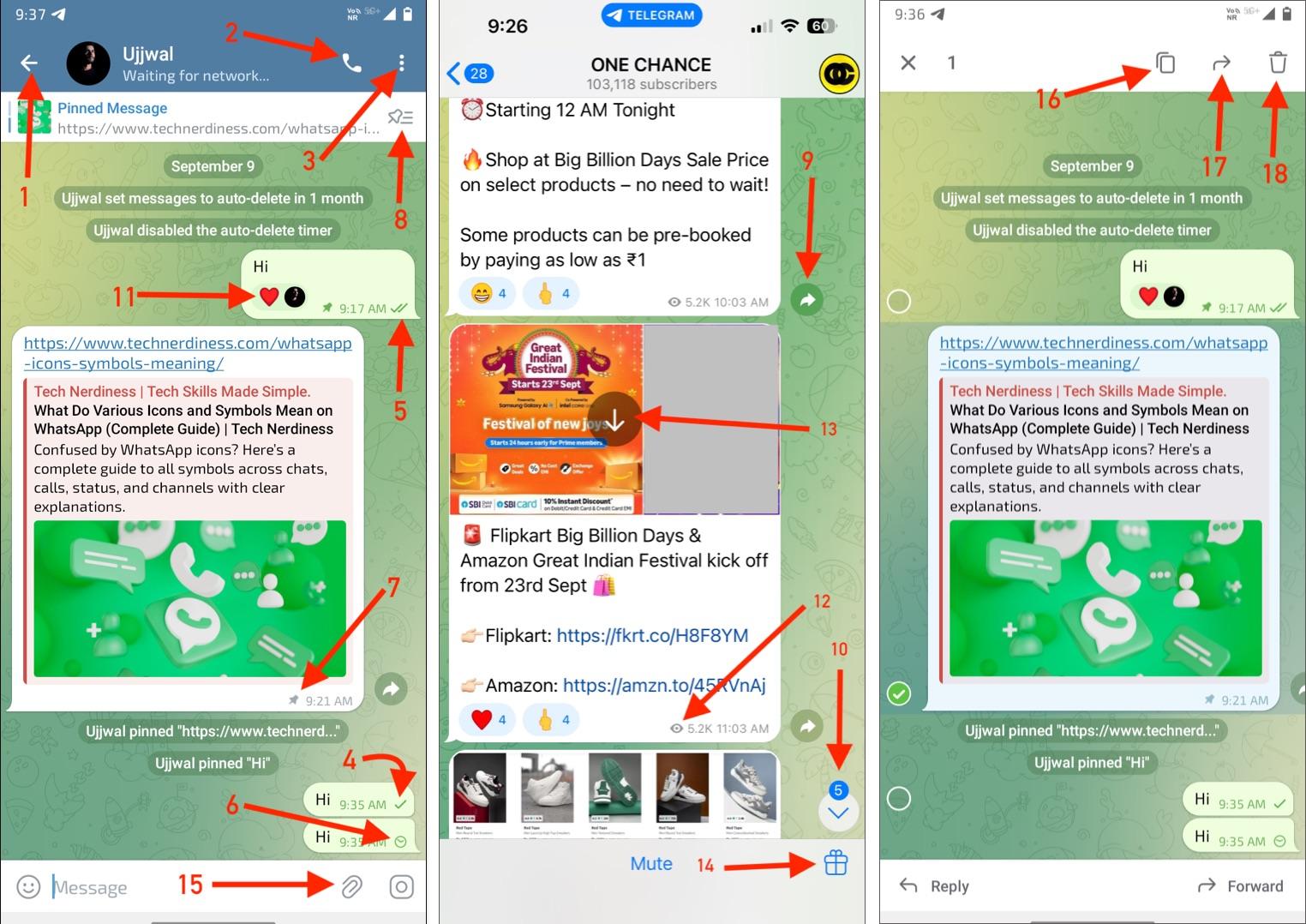 Icons and symbols inside individual chats on telegram