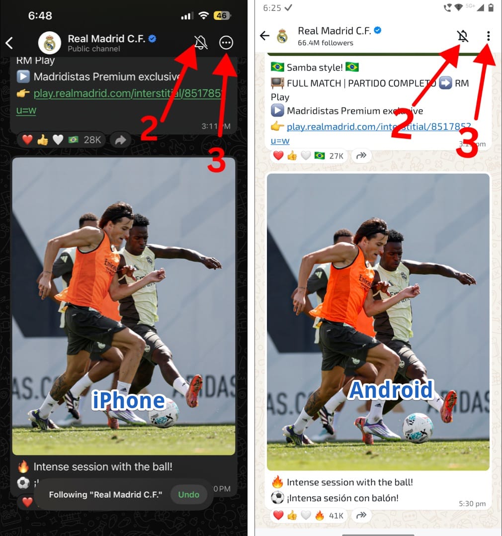 Icons in whatsapp channels section 2