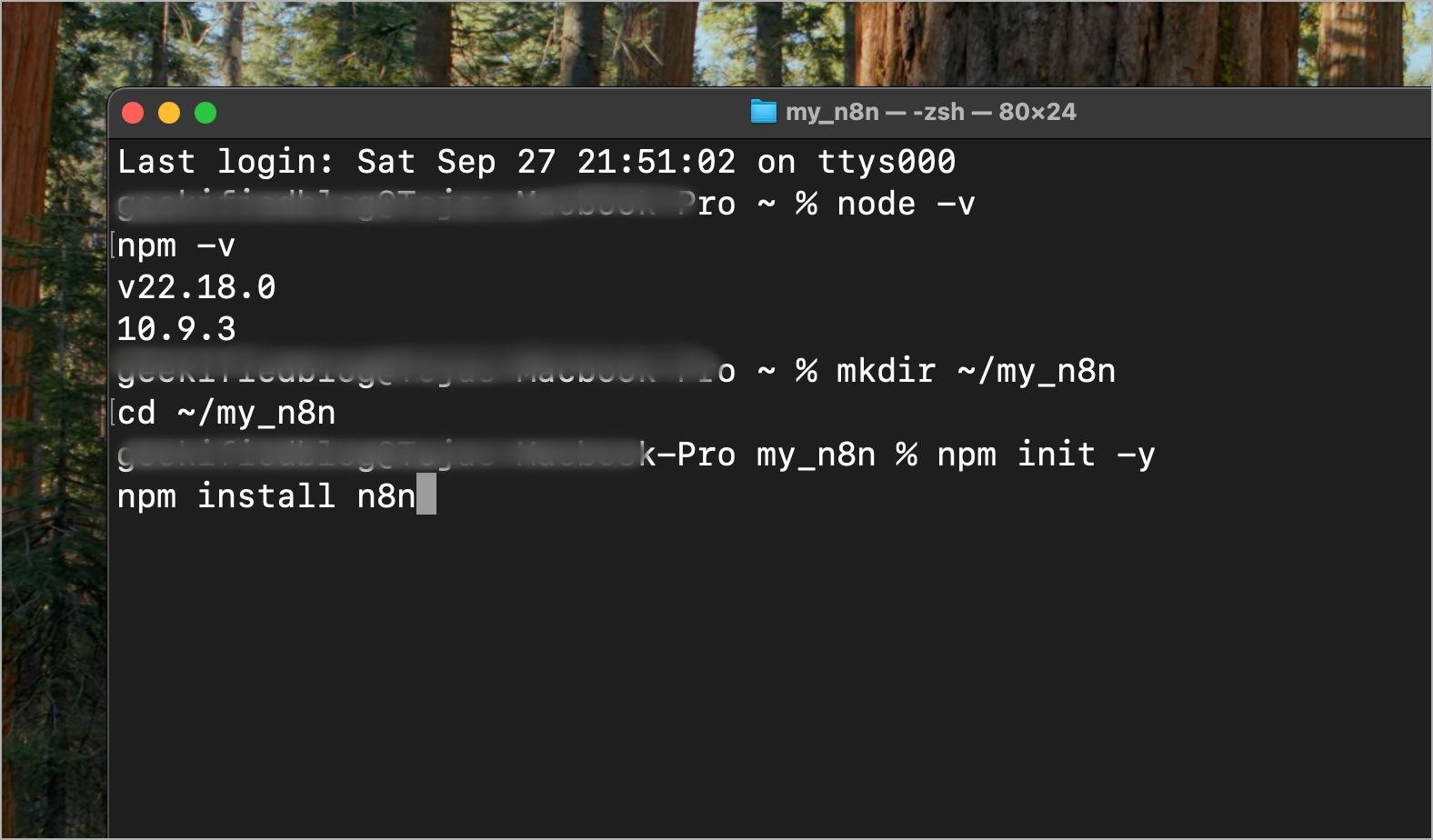 Initialize the folder as a project and install n8n