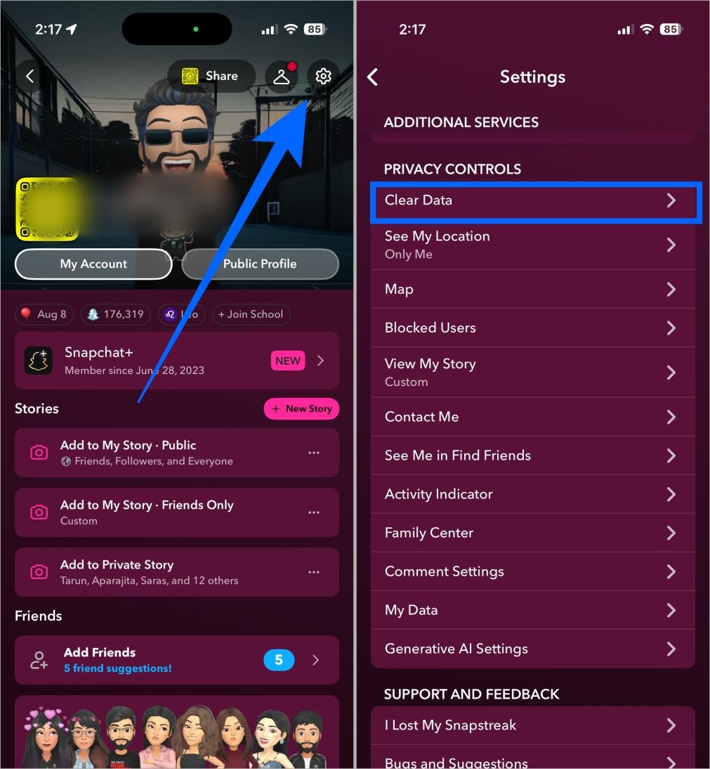 Tap clear data under privacy controls in snapchat settings