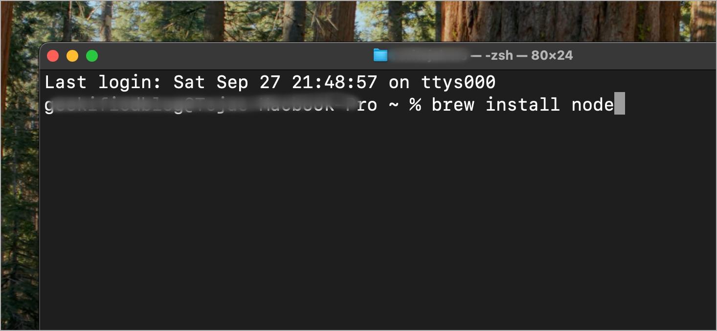 Type brew install node in terminal