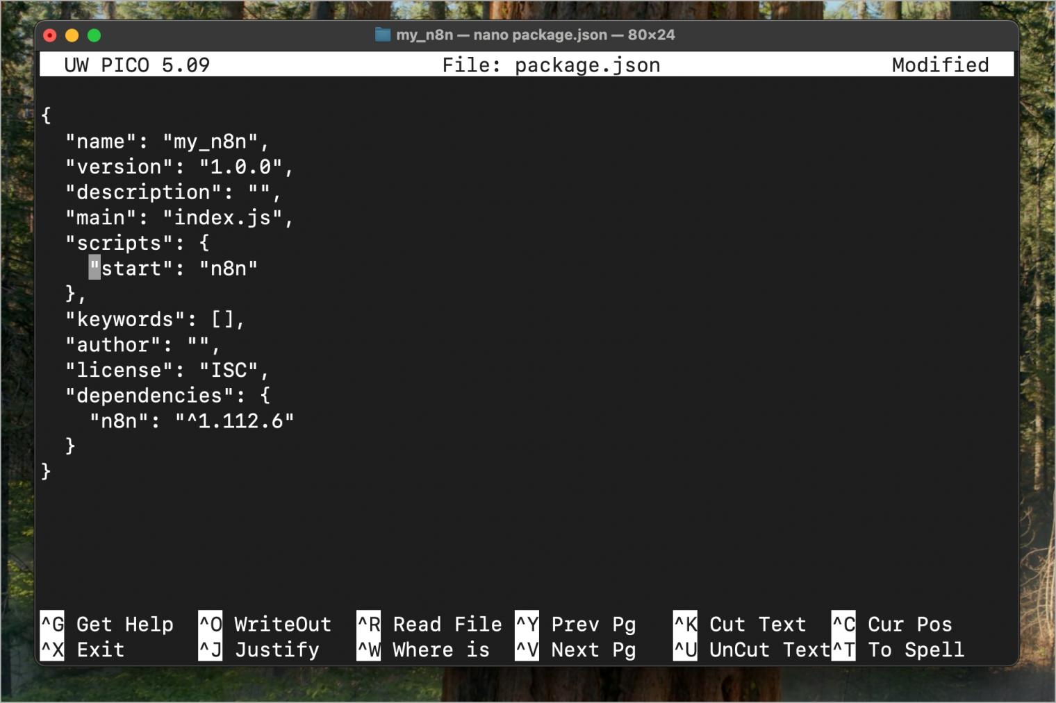 Update packagejson on mac
