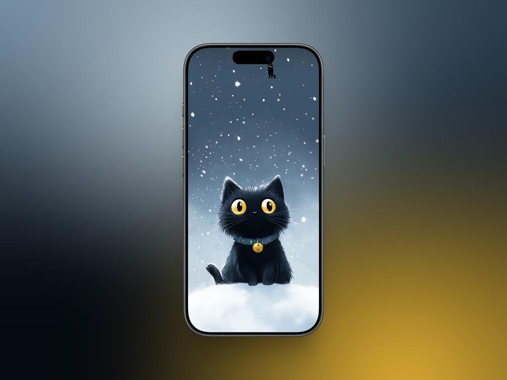 Cute Black Cat in Snow Cute black cat in snow