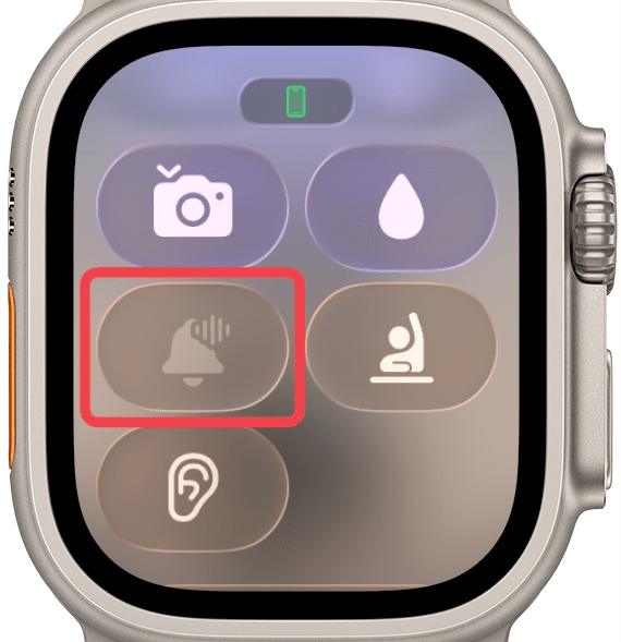 Announce with Siri Icon in Apple Watch Announce with siri icon in apple watch