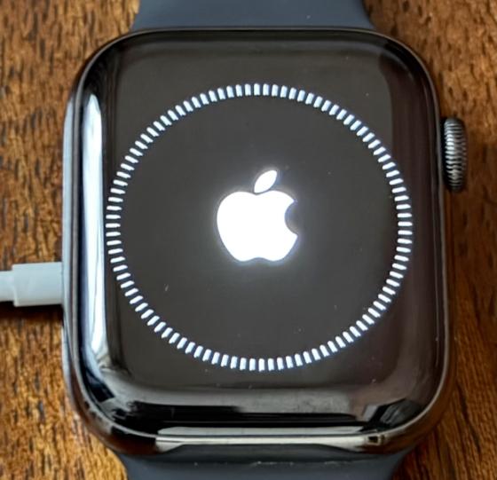Dots in a Circle Icon on Apple Watch Dots in a circle icon on apple watch