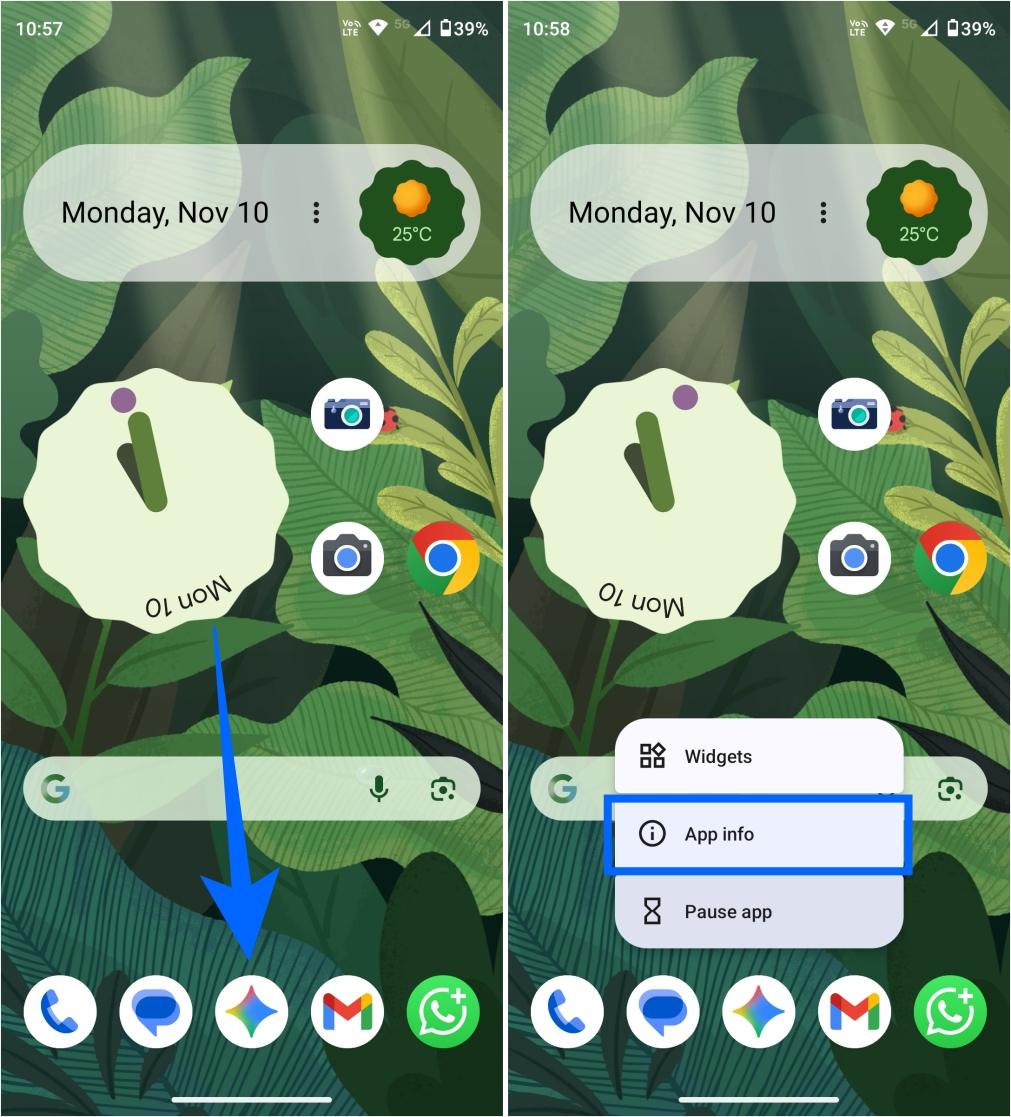 Open gemini app info by long pressing the app icon on android