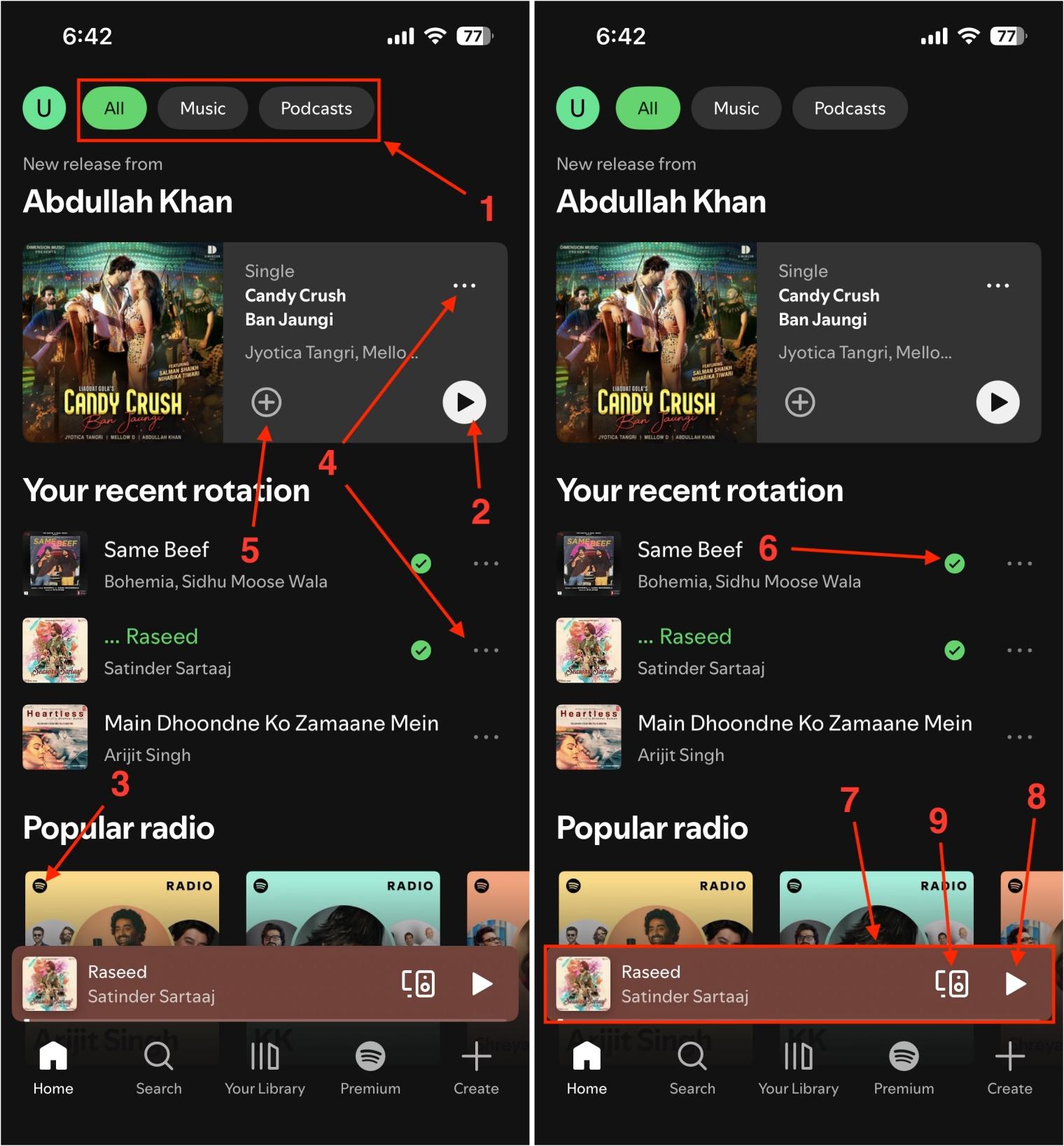 Spotify Icons and Symbols Meaning Guide - Tech Nerdiness