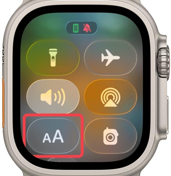 aA Icon in Apple Watch Aa icon in apple watch