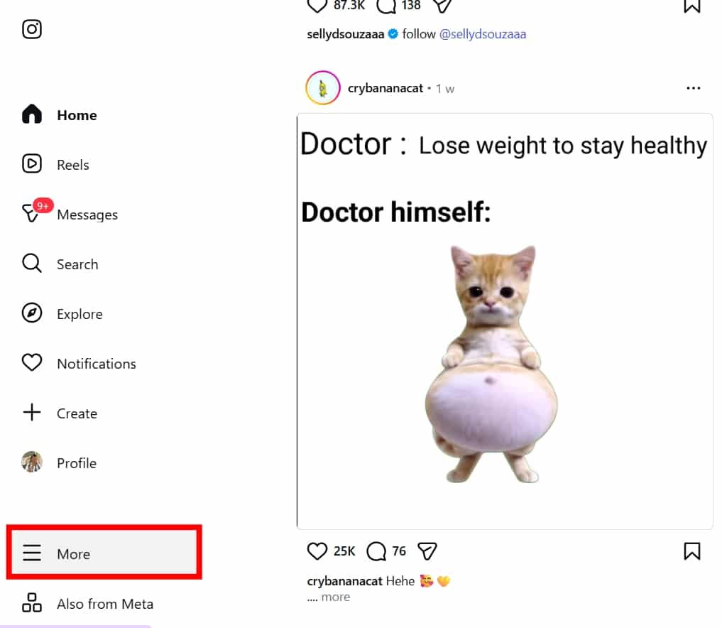 Log in to Instagram on your browser and click More