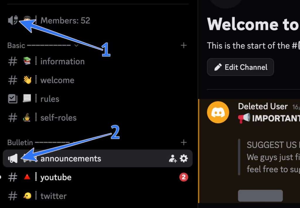 Discord Server Channel