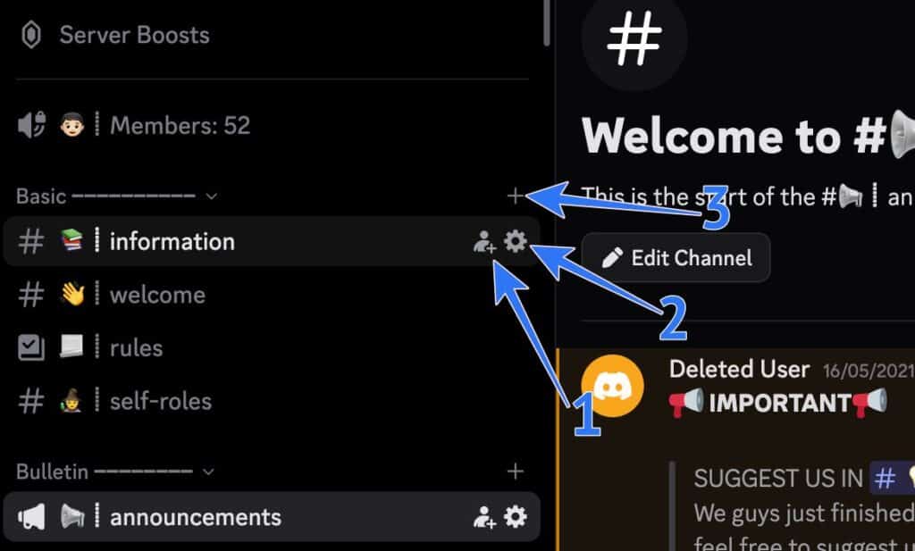 Discord server hidden icons