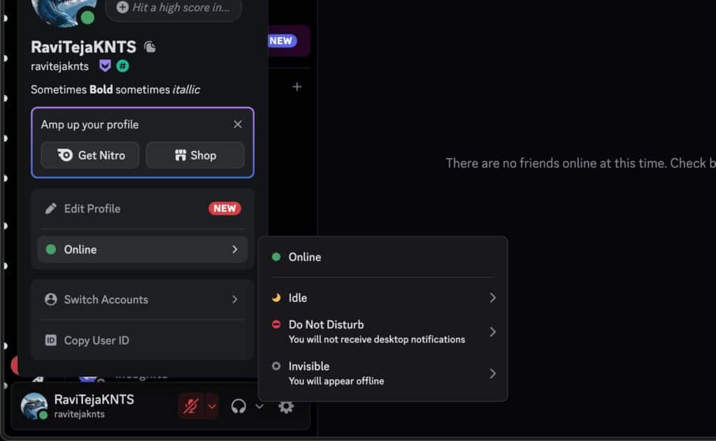 Discord Status Icons