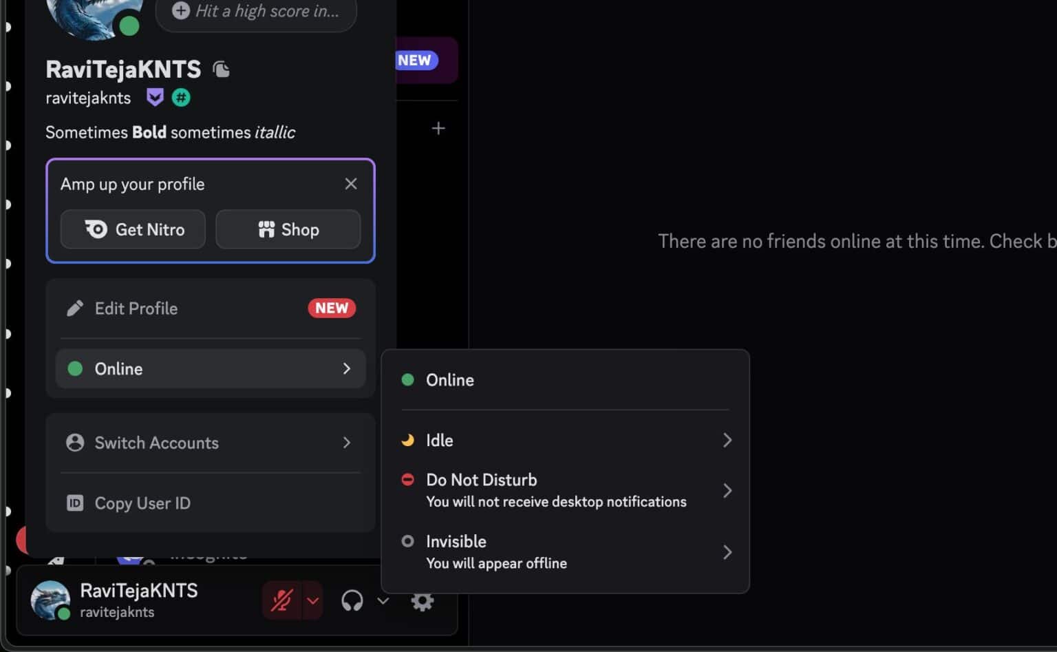 What Do the Symbols and Icons Mean on Discord? - Tech Nerdiness