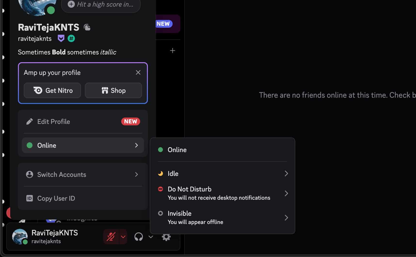 What Do the Symbols and Icons Mean on Discord? - Tech Nerdiness