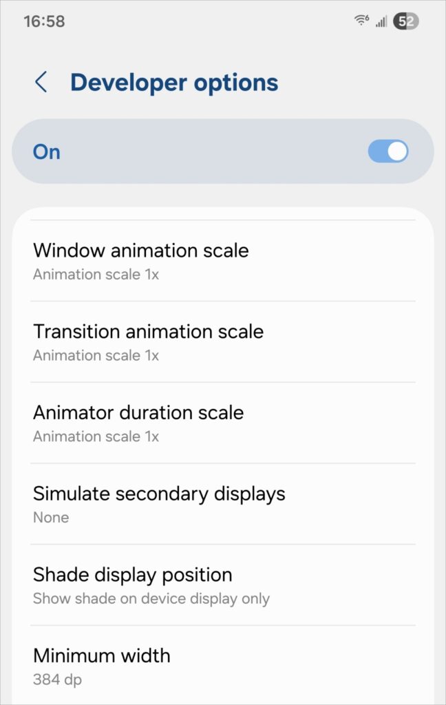 Settings in the Developer options on Andrdoi