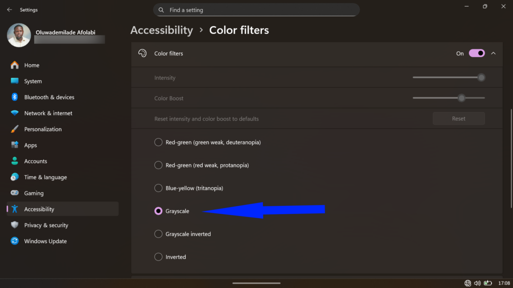 Windows Color filters menu with Grayscale selected to remove all color from the screen.