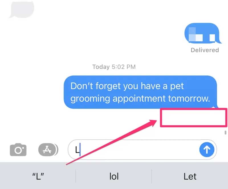 iMessage delivered not Showing