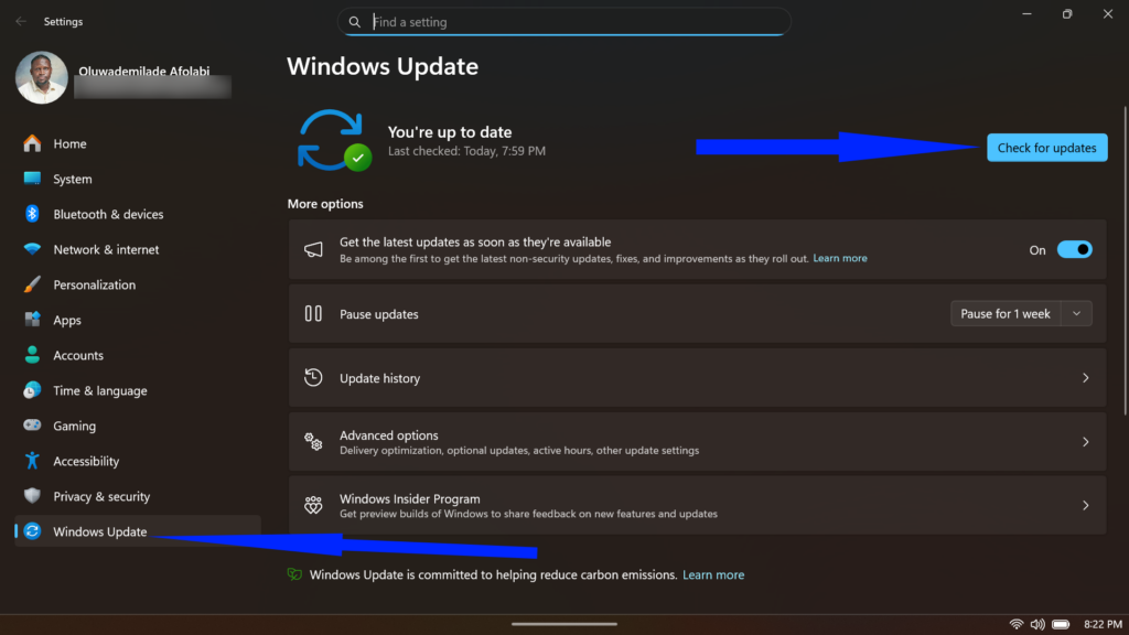 Windows 11 Settings app displaying the Windows Update page.