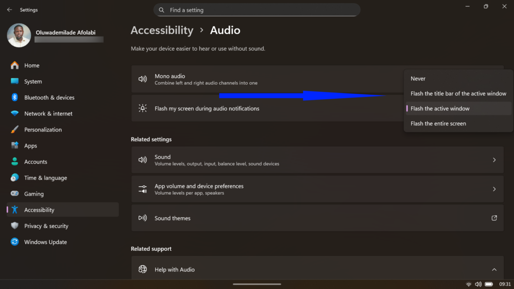 Windows Accessibility Audio settings showing options Flash my screen during audio notifications.
