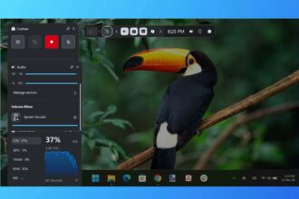 Screen Record on Windows 11