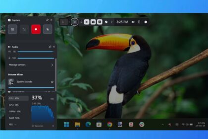 Screen Record on Windows 11