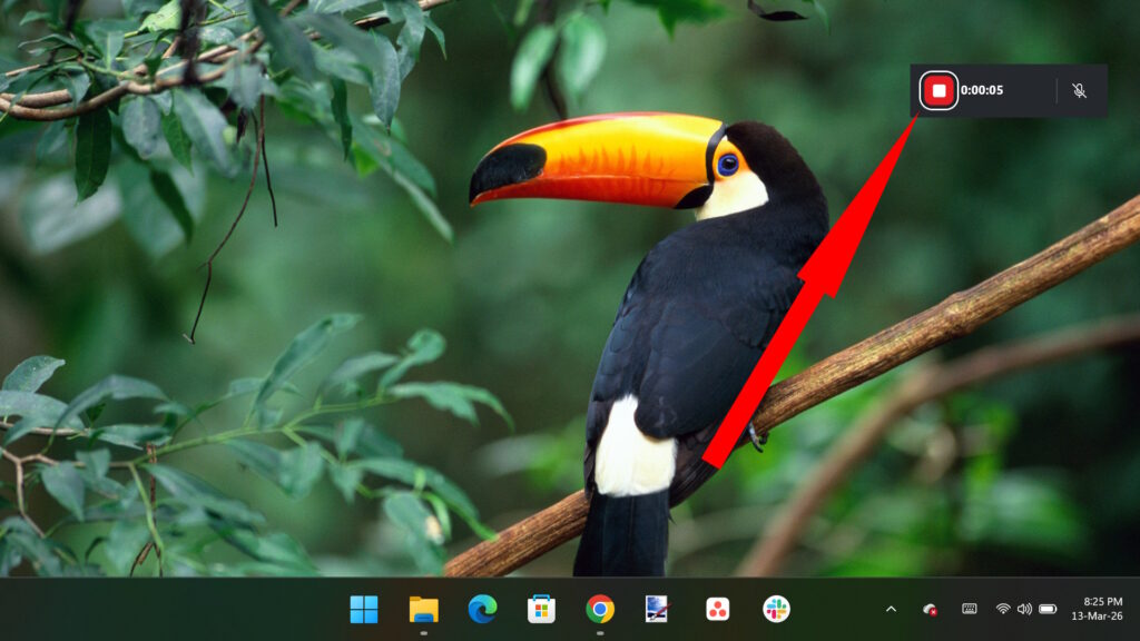 Windows desktop with a small Xbox Game Bar screen recording timer widget active in the top right corner.