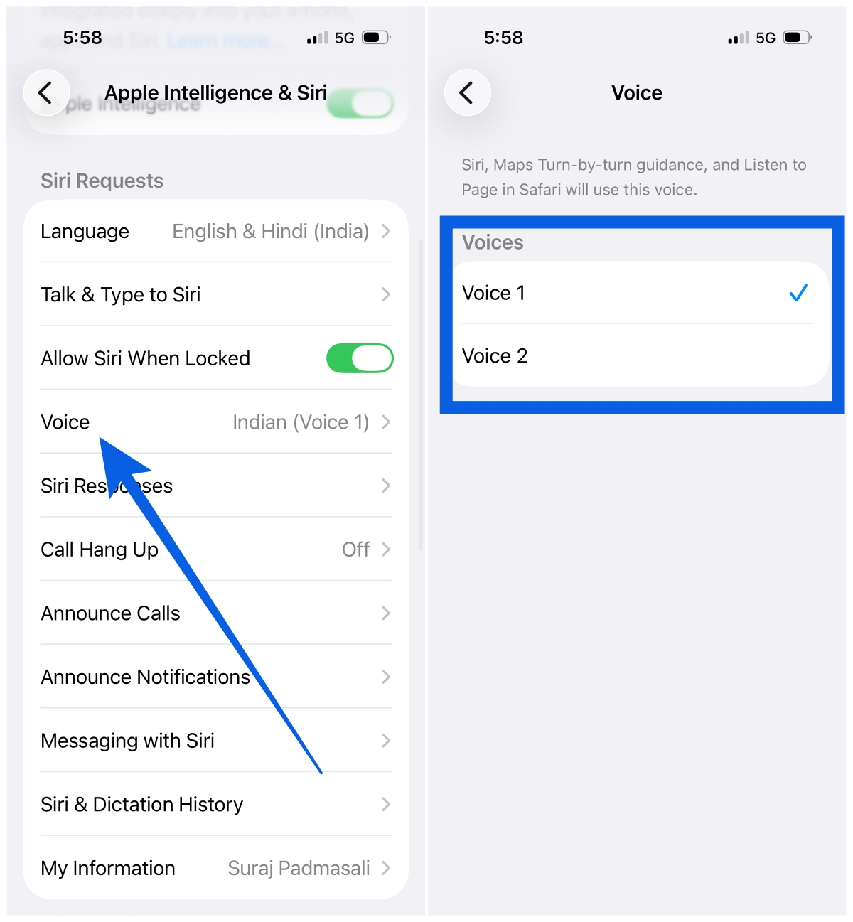 Tap Voice, then tap to hear the different options