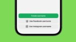 What is WhatsApp Username feature