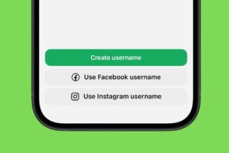 What is WhatsApp Username feature