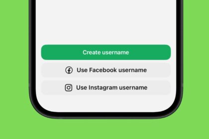 What is WhatsApp Username feature