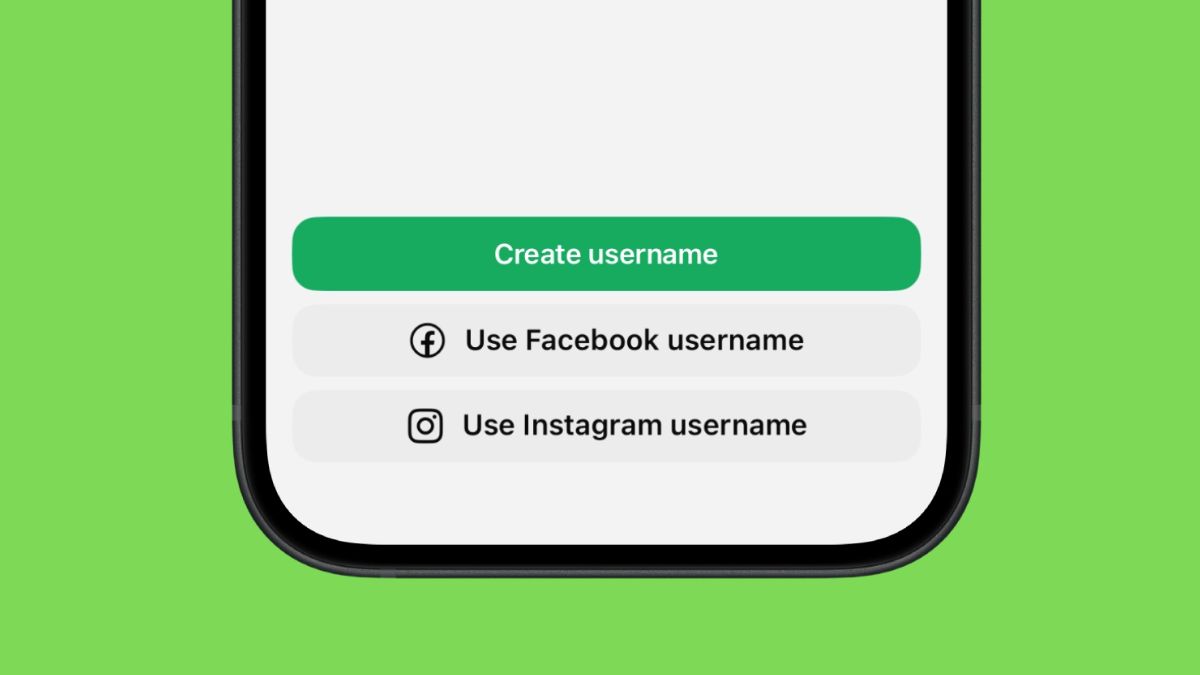 What is WhatsApp Username feature
