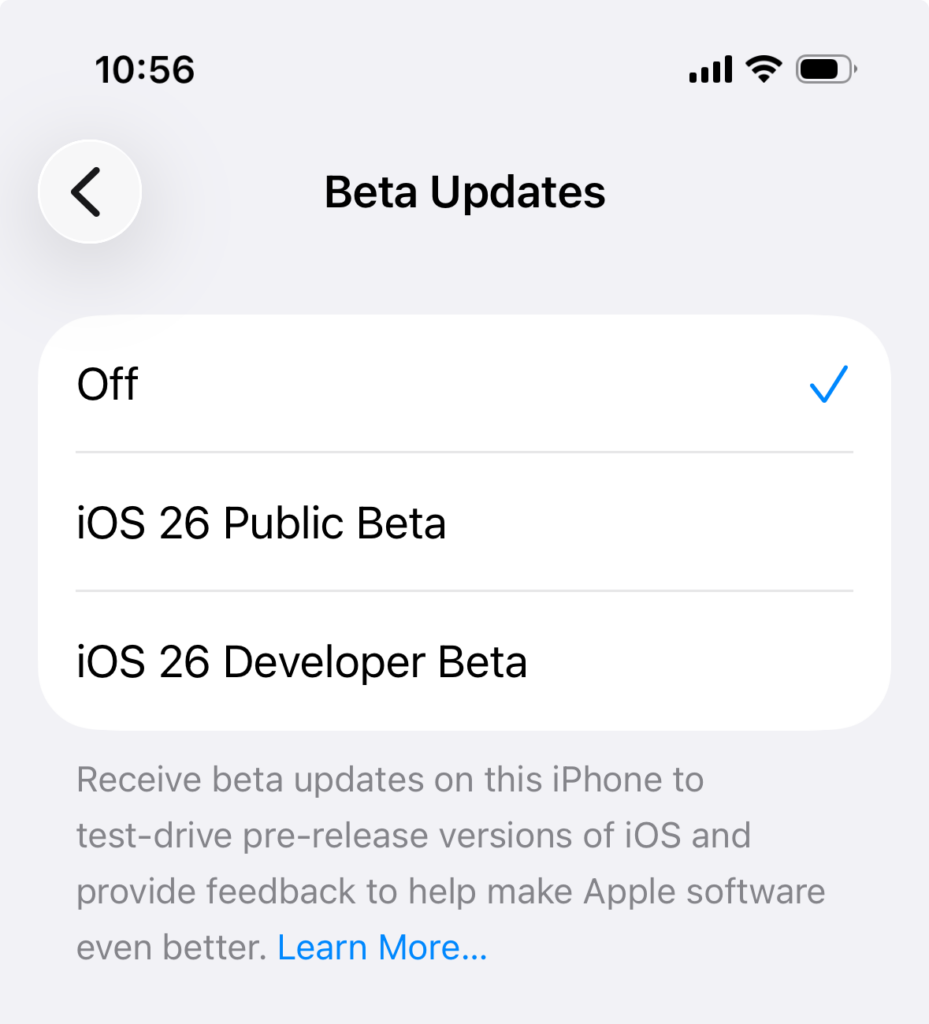 Developer Beta vs. Public Beta