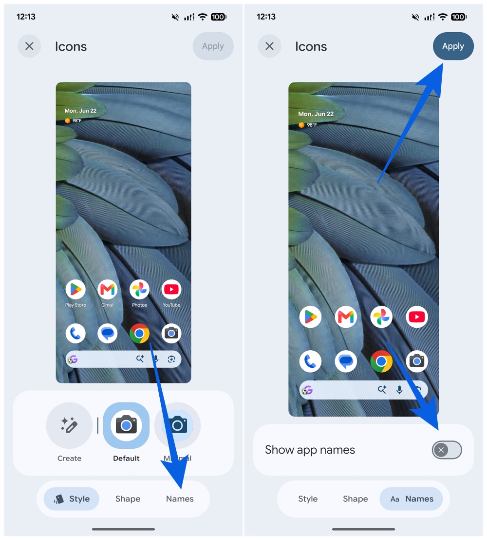 Toggle off Show app names, Apply on Pixel Phone