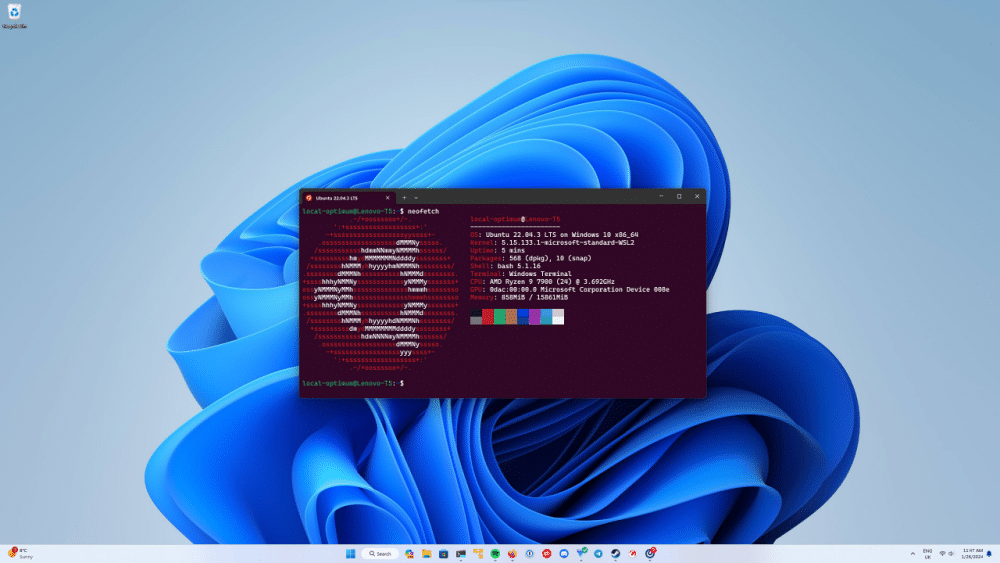 What Is Windows Subsystem for Linux (WSL)