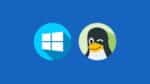 Windows Subsystem for Linux