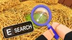 Search For The Needle Game