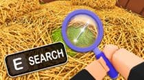 Search For The Needle Game