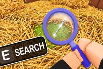 Search For The Needle Game