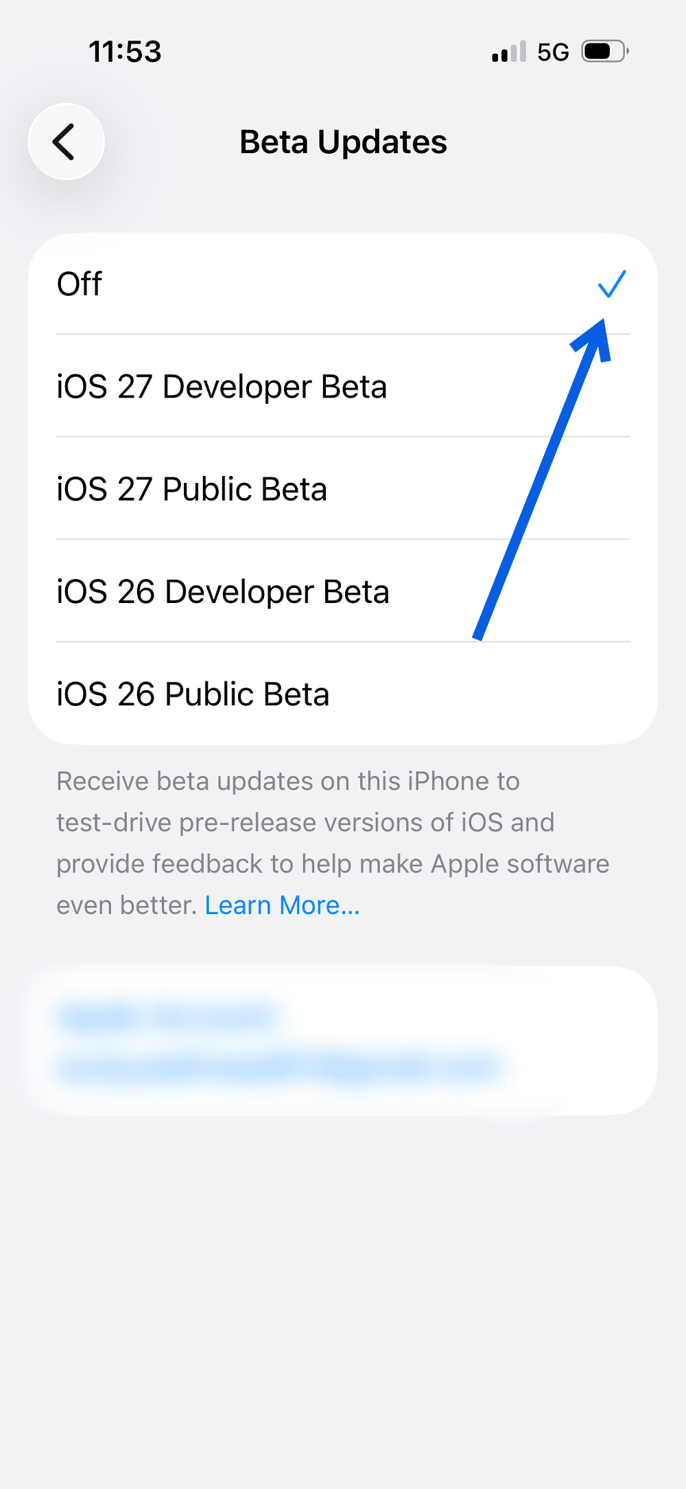 Turn Off iOS 27 Beta Updates