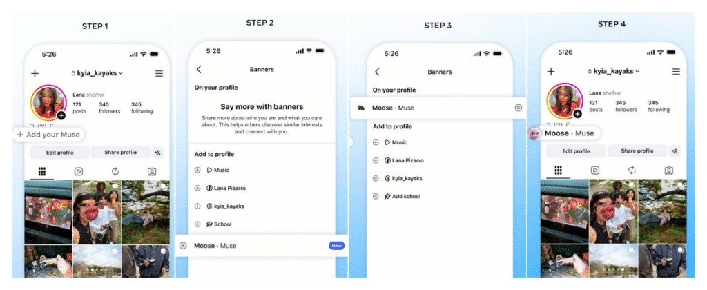 Add Muse to Your Instagram Profile
