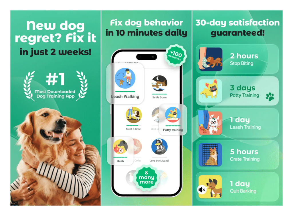 Dogo Pet Care and Tracking App