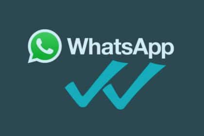 What the Double Tick Means in WhatsApp