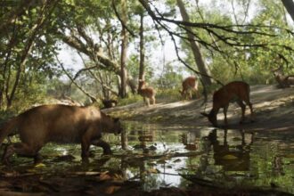 A cougar stalking deer beside a stream in GTA 6's Mount Kalaga National Park