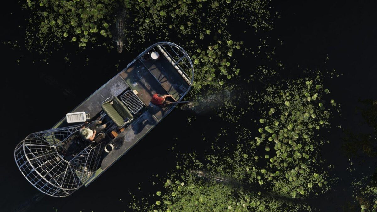 People and wildlife in GTA 6's Grassrivers wetlands