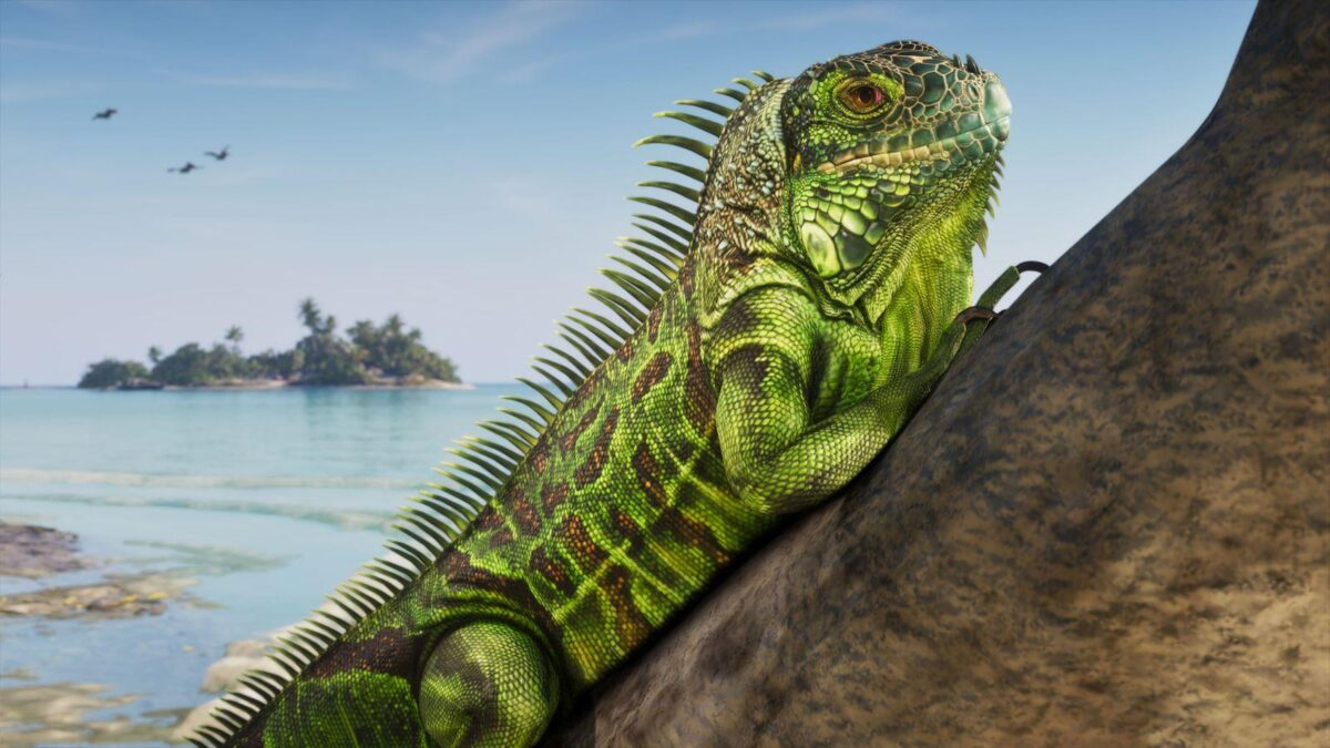 A green iguana resting on a tree beside the water in GTA 6's Leonida Keys